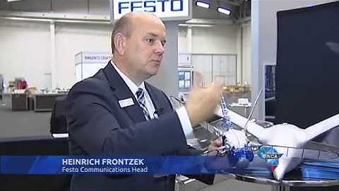 Scientists showcase robotic bird in SA