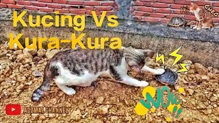 Aksi Heroik Kura-Kura vs Kucing (cerita rakyat)