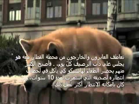 الوفاء المفقود 