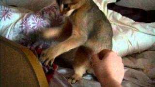 DSCF0462.avi