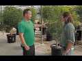 Identifying Nutrient Deficiency in Cannabis Plants - Veg/Flower: Derek Gilman & Simon Hart / Ganjier