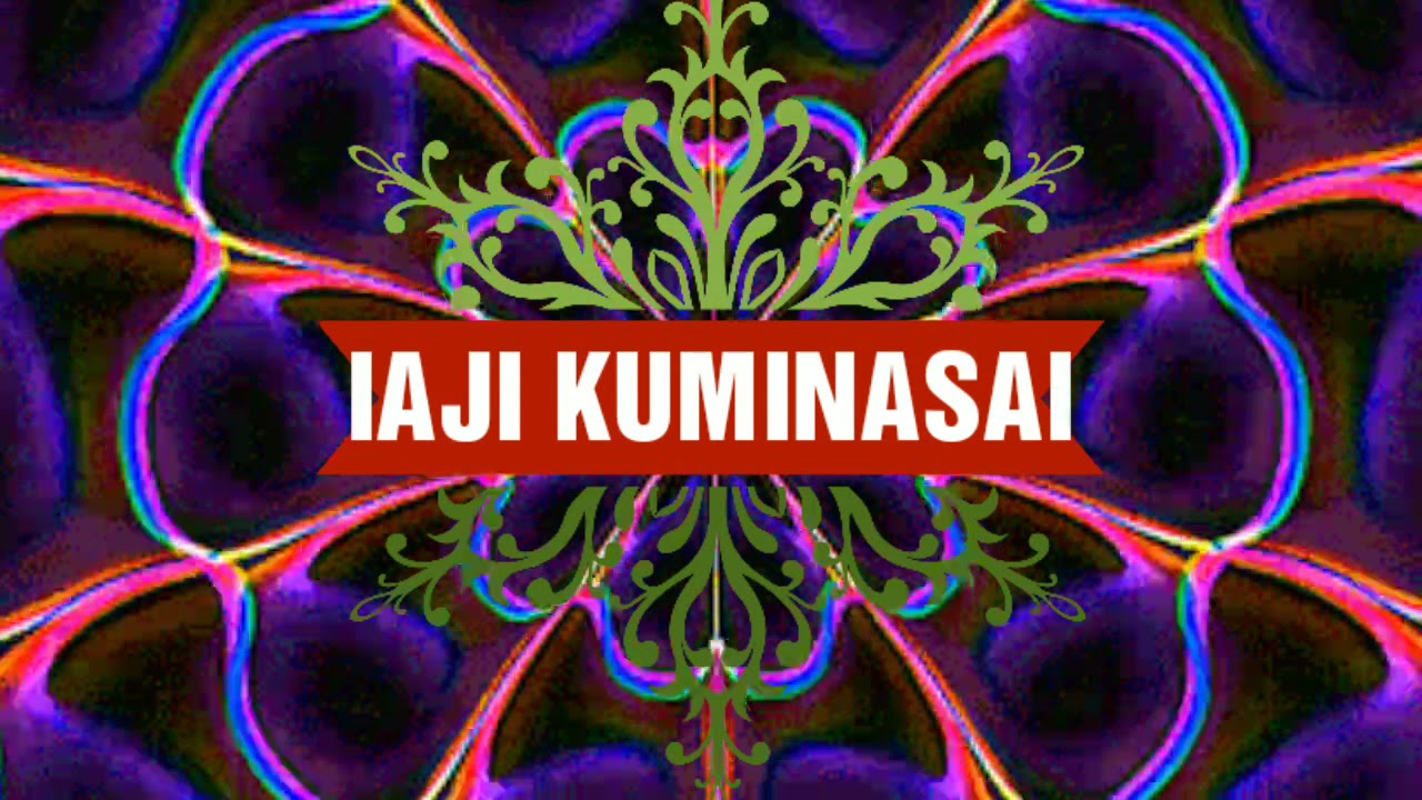 IAJI KUMINASAI (51) Udhin Liders
