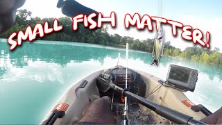 Picking Up Dinks In Clear Water Basssniperscooter