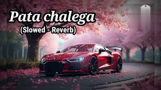 Pata Chalega (Slowed - Reverb) Song |Imran Khan| Bass Boosted 