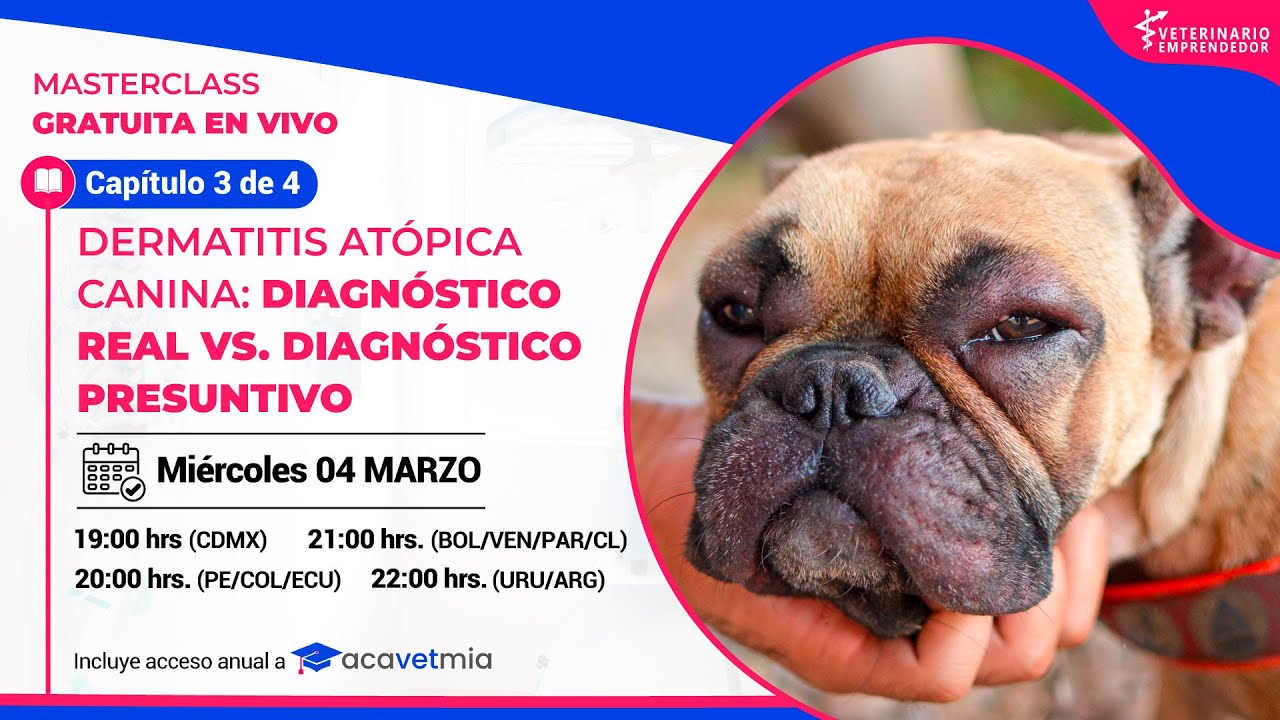 Masterclass 3, Dermatitis atópica canina: diagnóstico real vs. diagnóstico presuntivo