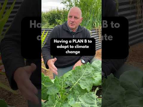 Climate Change and Growing Food: Adapting Our Growing Plans #shorts