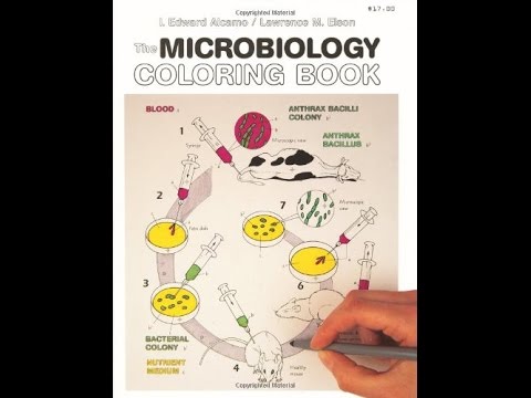 PDF The Microbiology Coloring Book YouTube