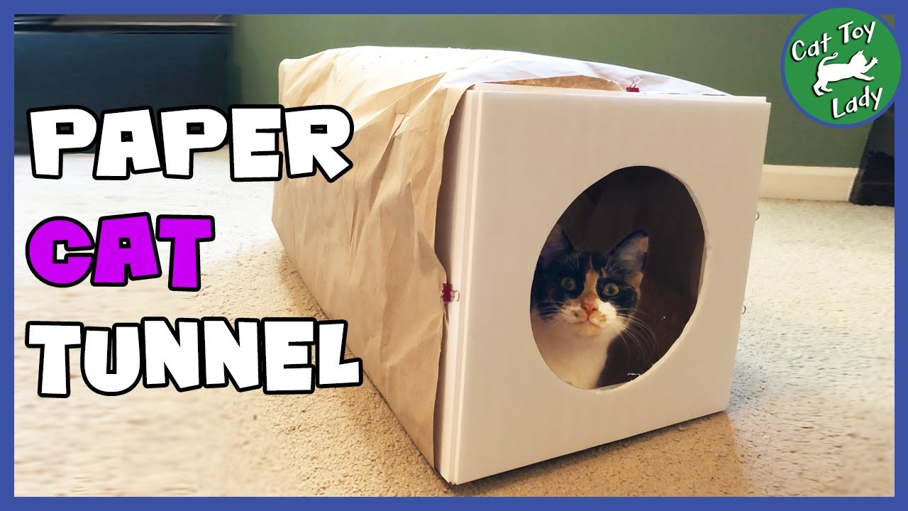 diy cat tunnel