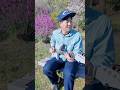 Country rock style guitar #countryguitar #guitar #enyaguitar #enyainspire #shorts
