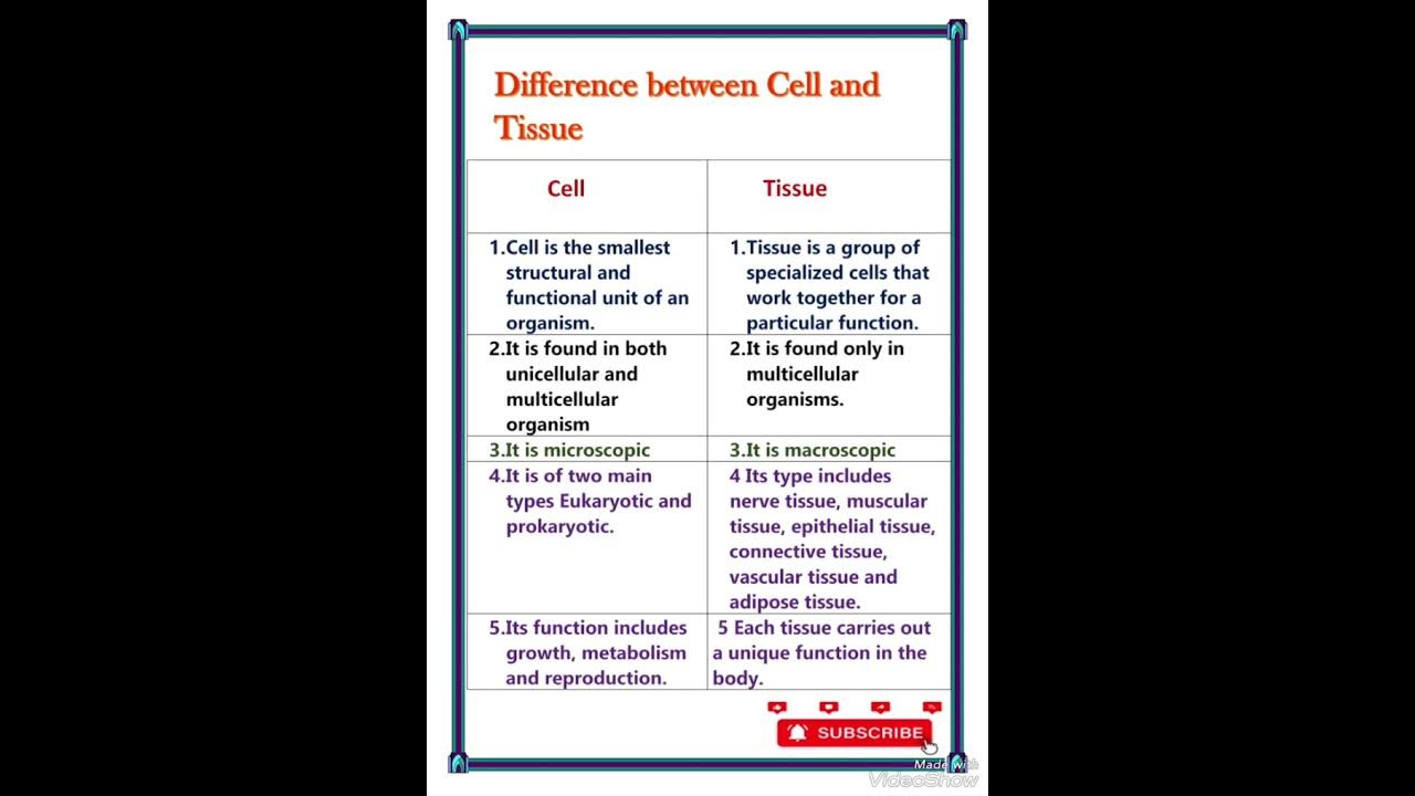 Difference between cell and tissue youtube