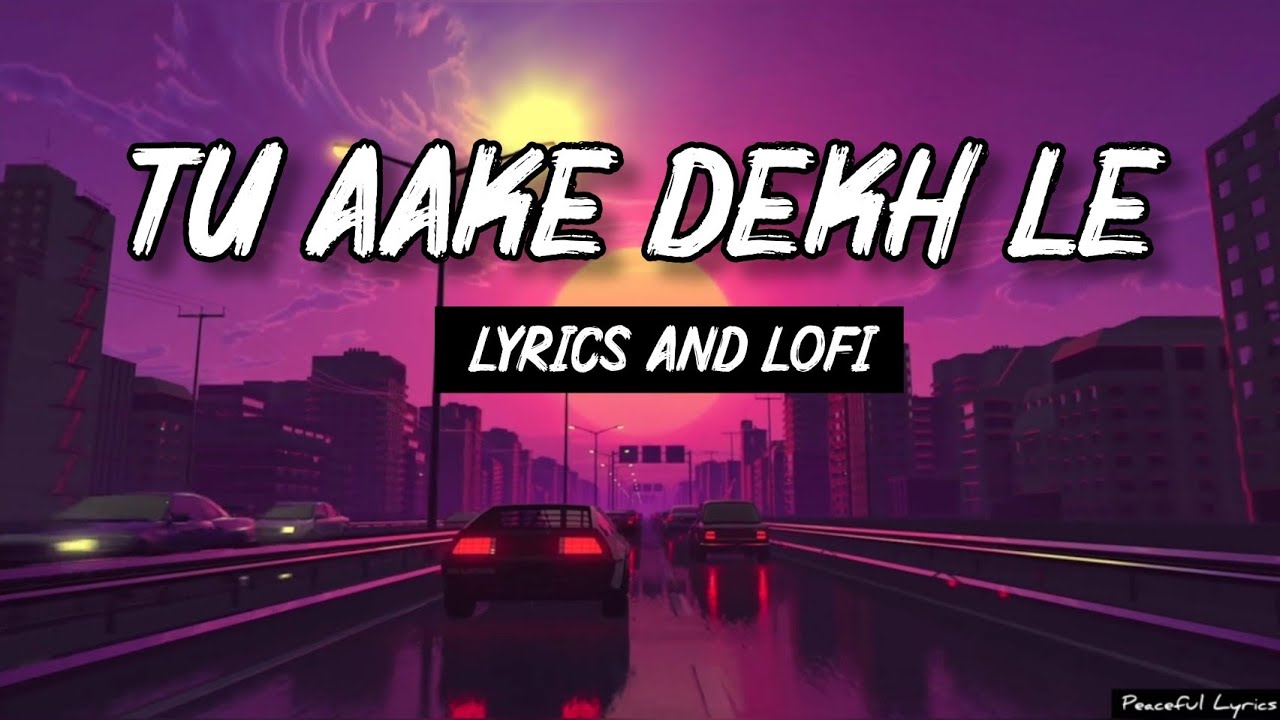 Tu Aake Dekh Le King  Tu Aake Dekh Le Song  King Tu Aake Dekh Le Lofi  Tu Aake Dekh Le Lyrics