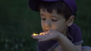 Catching and chasing fireflies for the first time