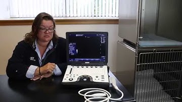 Primary modes and functions of the GE Logiq e ultrasound scanner