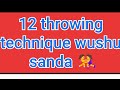 12 throwing technique wushu sanda  wushu india