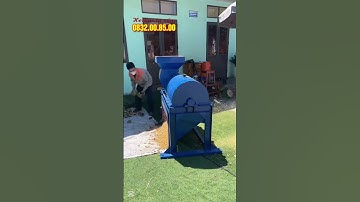 Biển vỏ dừa thành nguồn nguyên liệu có giá trị cao với Máy Băm Xơ Dừa B1200