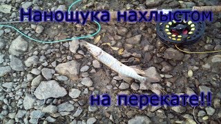 Жесть! Нанощука нахлыстом на перекате, клюет как бешеная!!