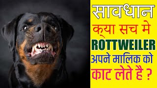 Are Rottweiler Good For Family ? Are Rottweiler attacks Their Owner ? Are Rottweiler Aggressive ?