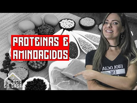 Vídeo: Diferença Entre Aminoácidos E Nucleotídeos