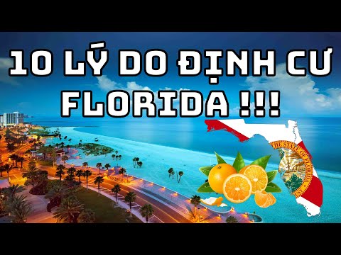 Video: Ai chọn công ty tiêu đề ở Florida?