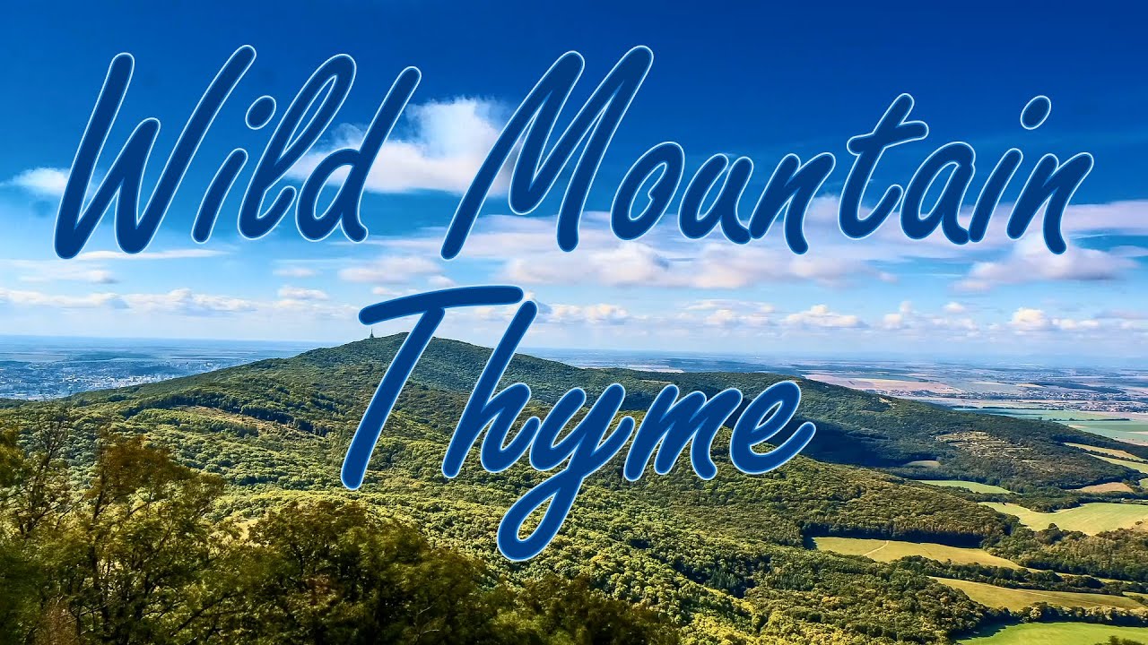 Wild Mountain Thyme Lyric Video YouTube