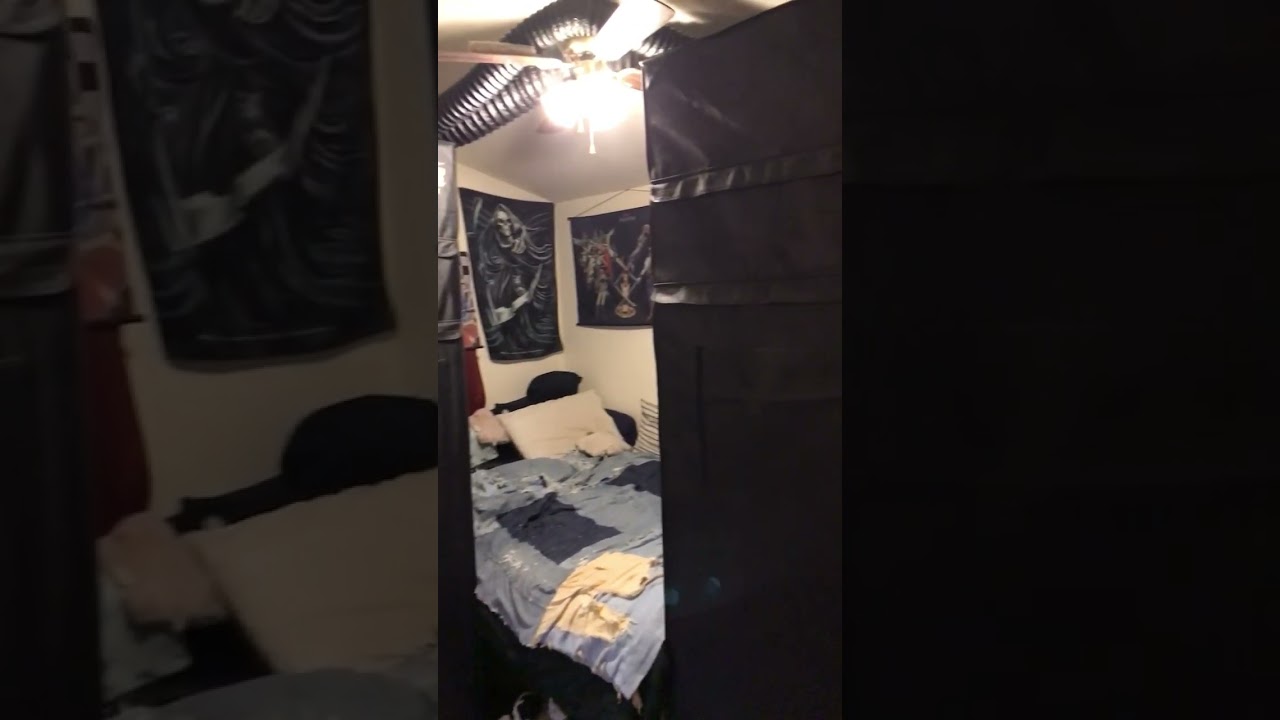 New gorilla Grow tent 5x5