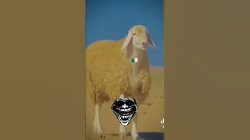 نريسكي مليار في الساعة Shortvideo Music الشعب الصيني ماله حل 