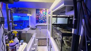 5000 gallon reef aquarium   walk around the tank & filter rooms