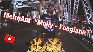Molly- Foogiano Dance Video