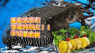 【漁人推介】阿火帶大家出海玩夜潛墨魚常常有大大隻墨魚季頭特別多如何自製手打墨魚餅Catch and Cook Seafood Handmade Cuttlefish Cake