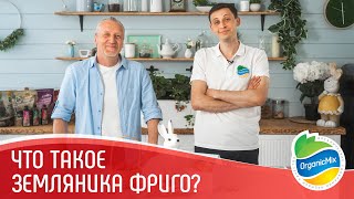 Рассада фриго/ Пасхальный выпуск от Органик Микс/ Клубника фриго/ Технология выращивания рассады