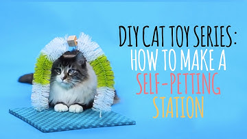 DIY Cat Toys - How to Make a Self Petting Station