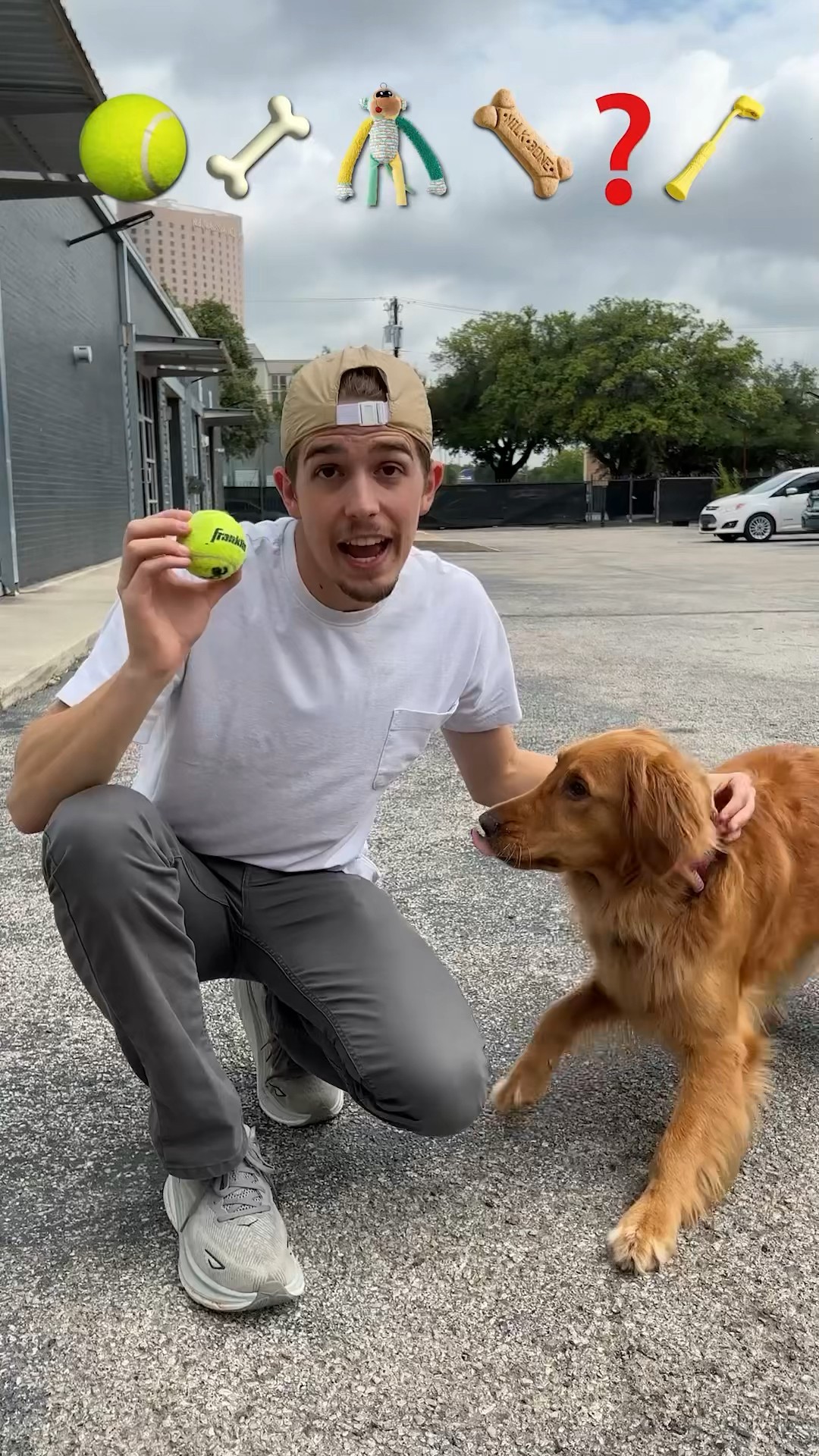 Can my Golden Retrievers Really Retrieve?