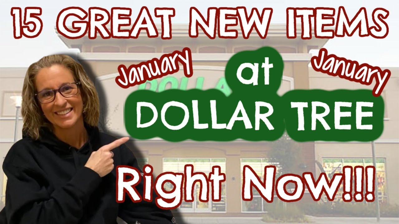 15 GREAT NEW ITEMS at DOLLAR TREE RIGHT NOW