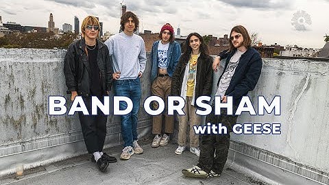 Geese Play a Game of Band or Sham