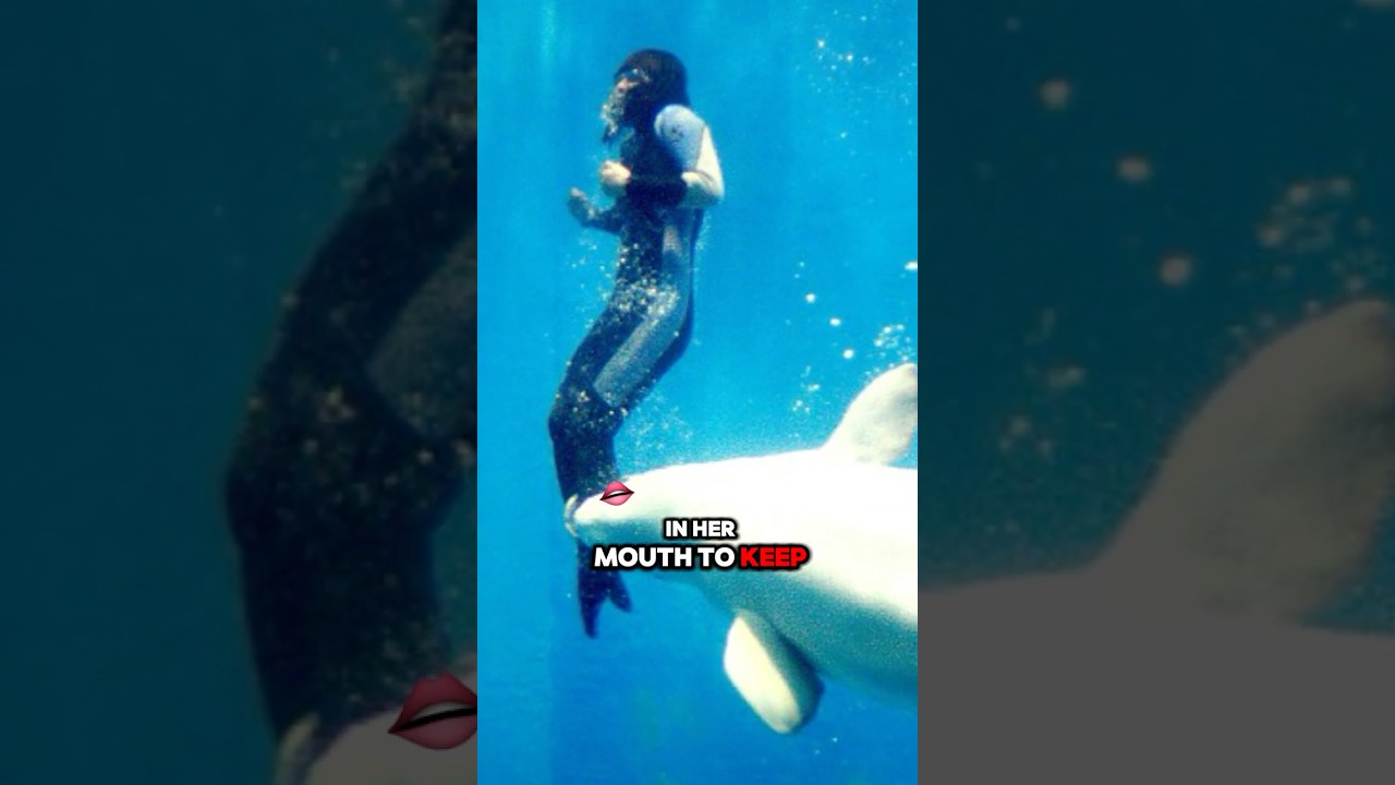 Performance Whale Turned Into Hero!😱 