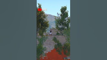 Can You Really Survive RUST