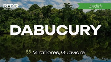 Dabucury REDD+ Project (English)