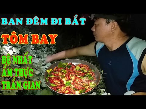 Video Đi Bắt Tôm Bay Ban Đêm - Thiên Hạ Đệ Nhất Ẩm Thực Trần... - youtube