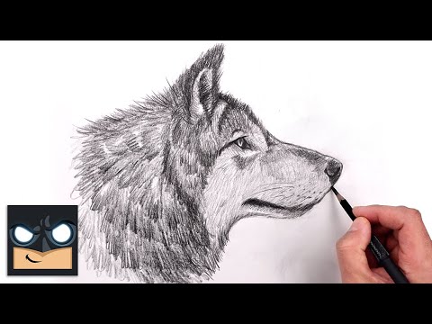 Video: How to draw a full face portrait with a simple pencil