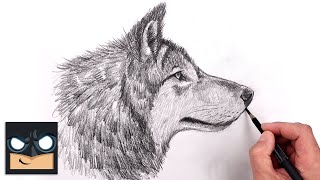 how to draw a wolf for beginners sketch art lesson step by step