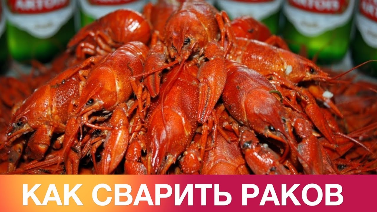 Как Варить Правильно Раков картинки Как Варить Правильно Раков картинки