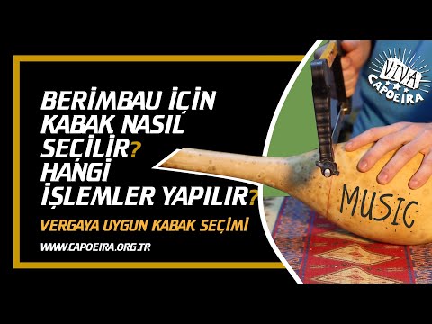 Video: Bir peri masalını ziyaret etmek. Brooks Shane Salzwedel'den muhteşem sisli manzaralar