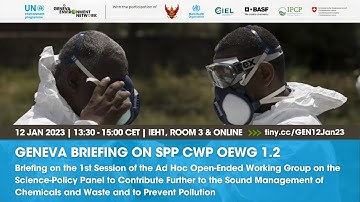 Briefing | OEWG 1.2 Science-Policy Panel on Sound Management of Chemicals and Waste and Pollution