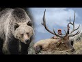 Hunting Big Bulls in Grizzly Country - Public land elk with Ike Eastman