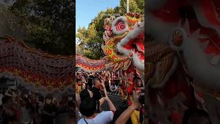 Australia : Chinese New Year Celebration