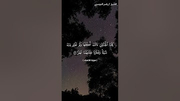 سورة الكهف من آية 32 إلى آية 35 بصوت الشيخ ياسر الدوسري❤❤