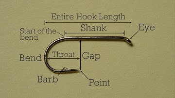 Hook Basics - Anatomy of a Hook