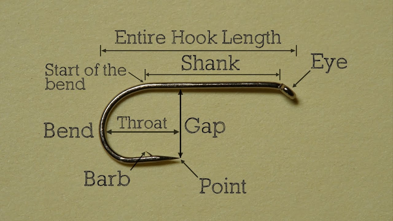 Hook Basics - Anatomy of a Hook 