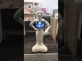 Dancing Robot Pepper #robot #dance #robotics