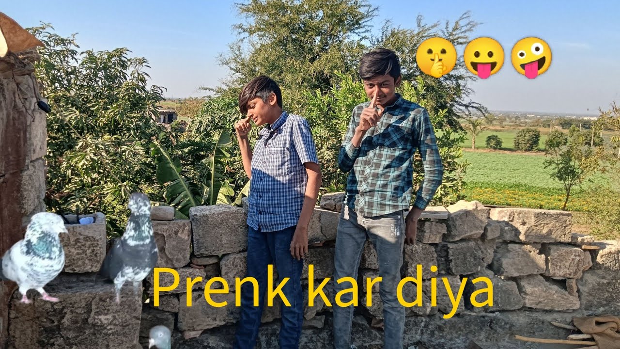 SHAHIl ke upar prenk kar diya 🤫😛😛#pigeon #kabutarandekabdetehain 